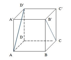 20.6 diagrama